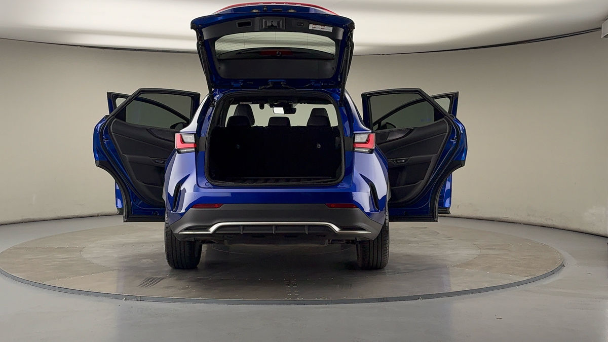 More views of Lexus NX