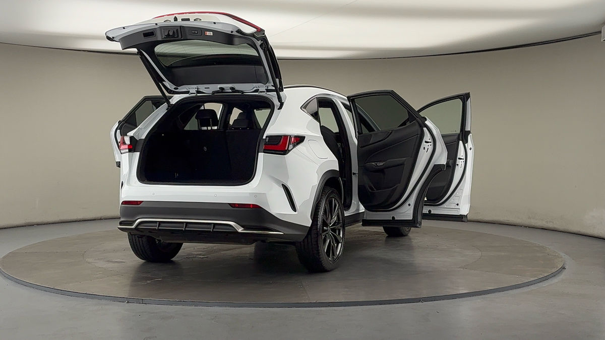 More views of Lexus NX