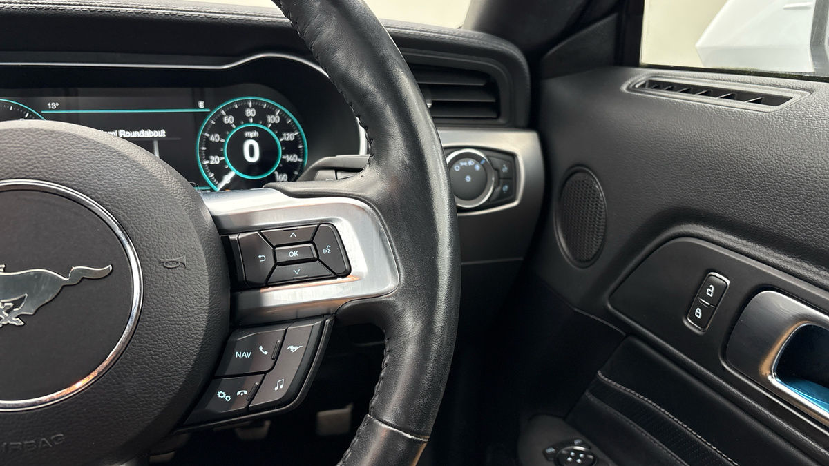 Ford Mustang Image 14