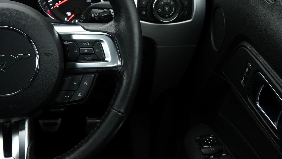 Ford Mustang Image 16