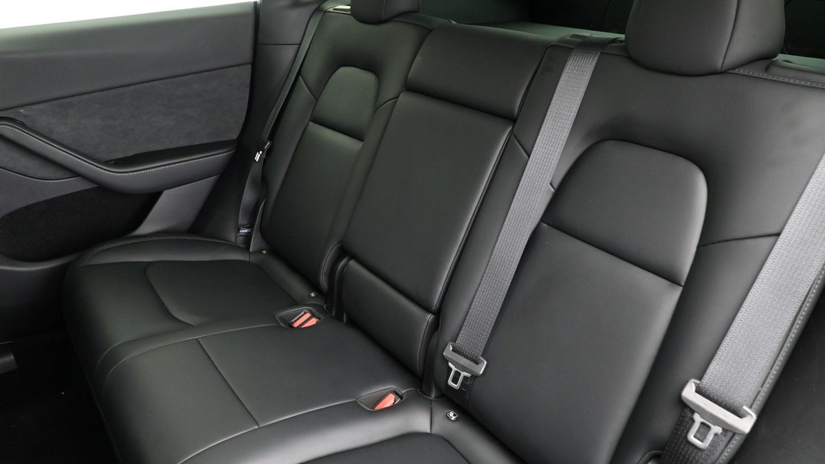 Tesla Model Y Image 5