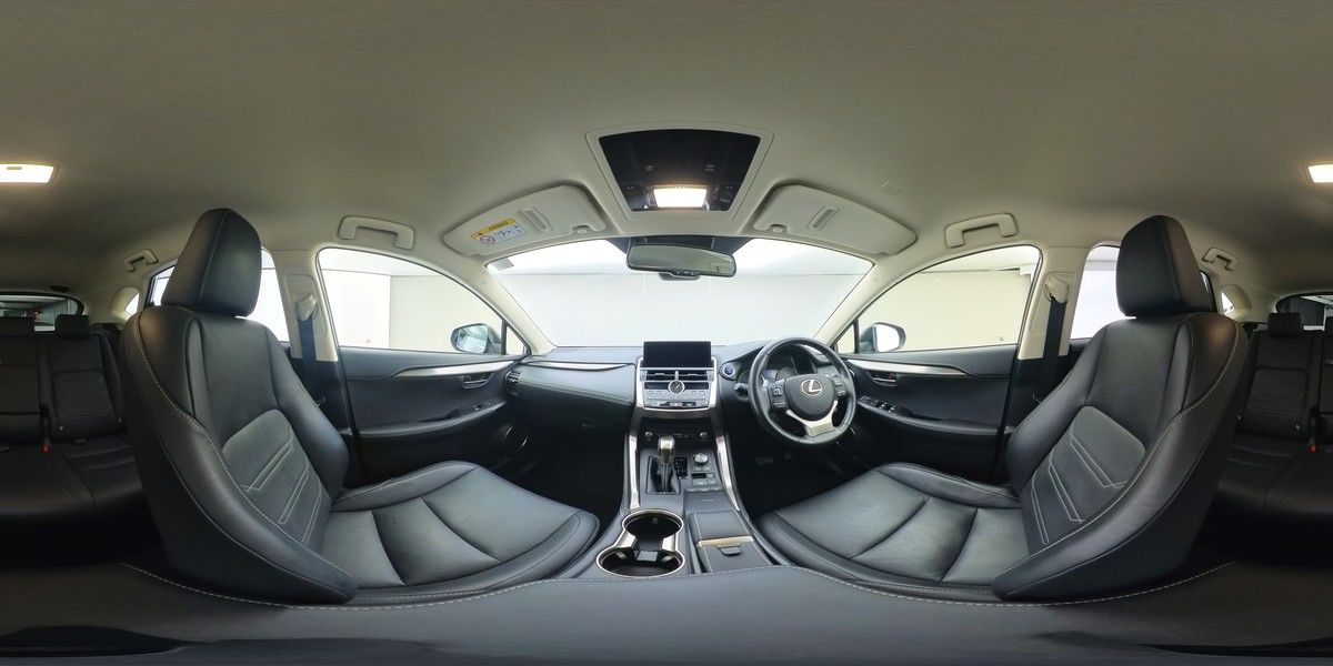 More views of Lexus NX