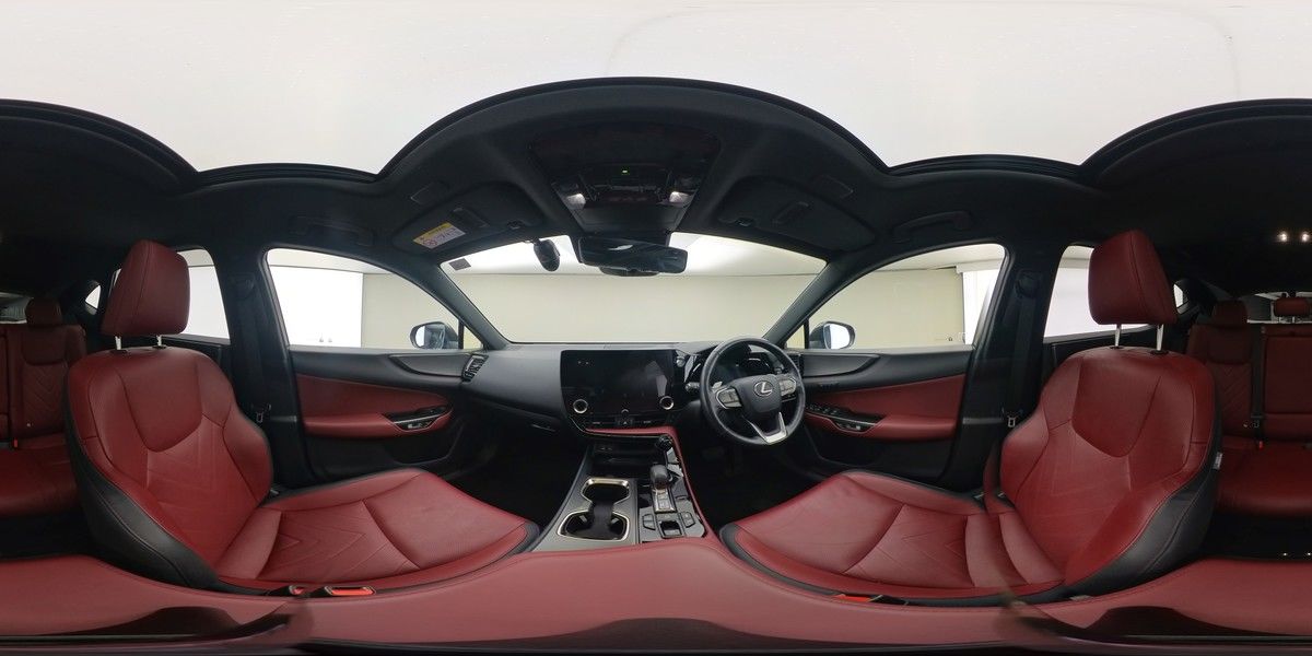 More views of Lexus NX