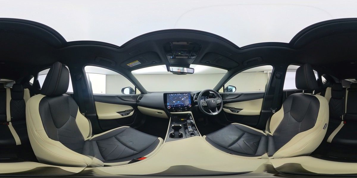 More views of Lexus NX