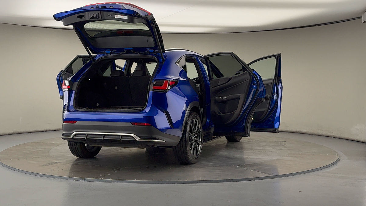 More views of Lexus NX