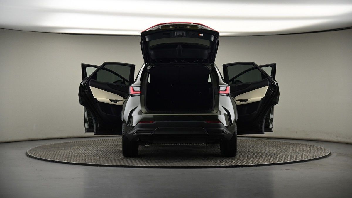 More views of Lexus NX