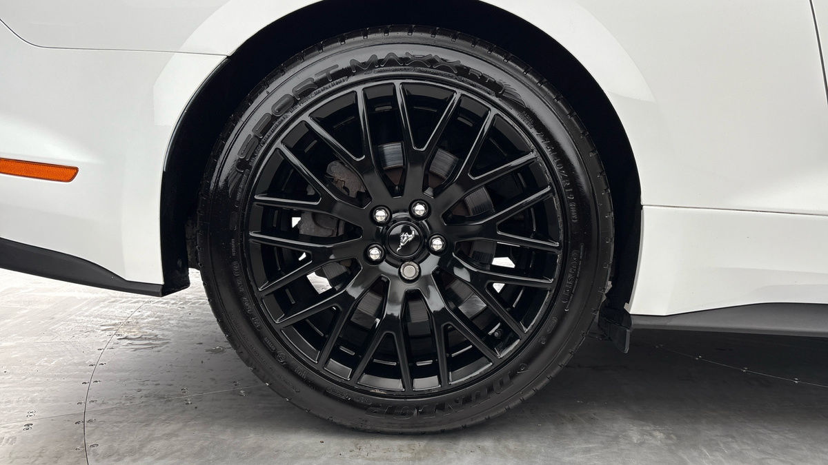 Ford Mustang Image 10
